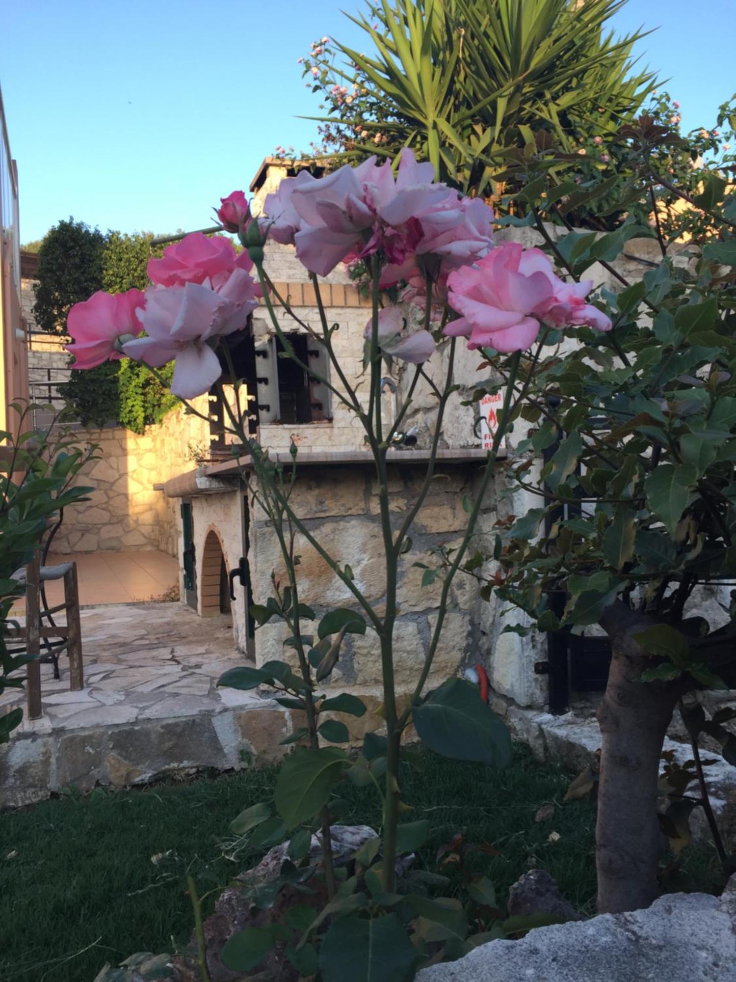 Agia Marina Meliades Villas מראה חיצוני תמונה