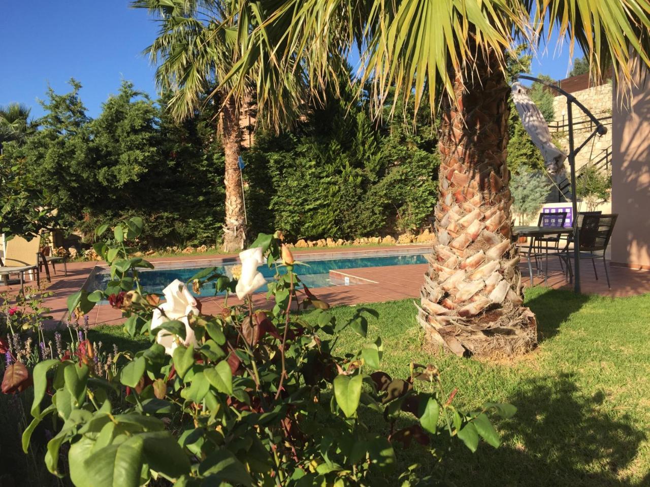 Agia Marina Meliades Villas מראה חיצוני תמונה